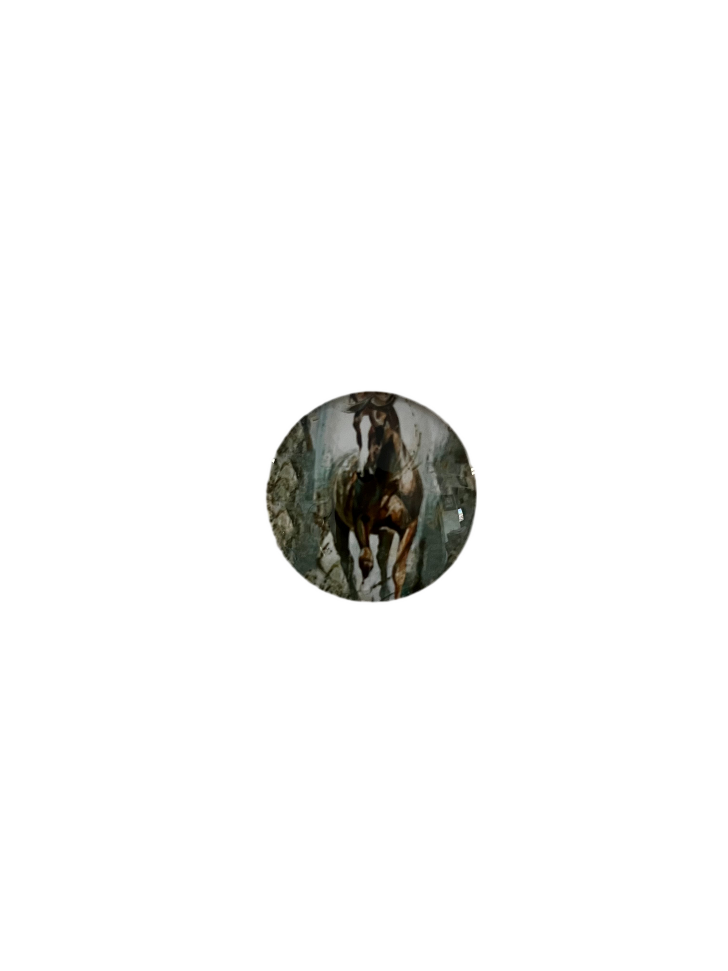 Small Horse Magnets - The Diamond Spur Boutique