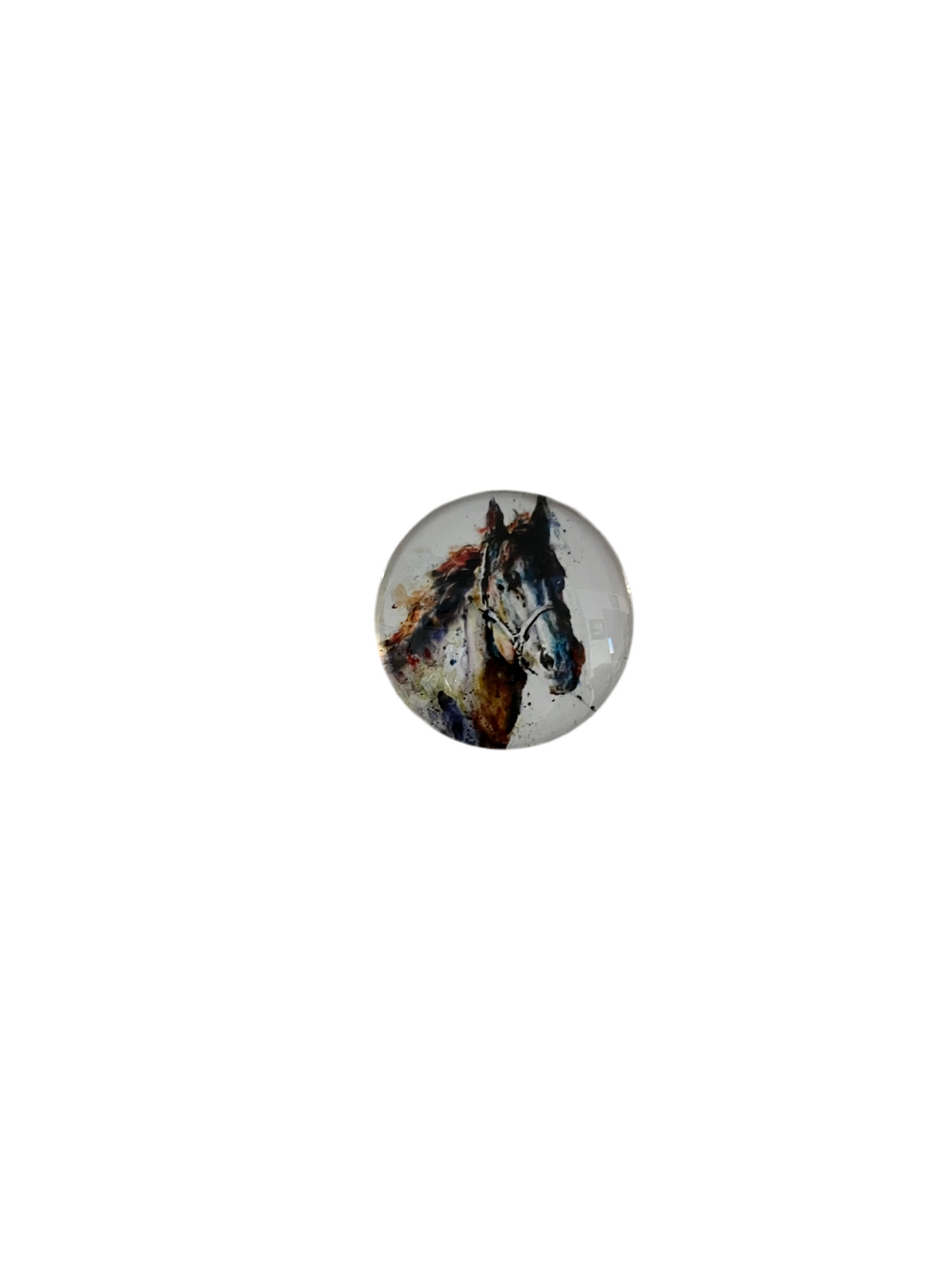 Small Horse Magnets - The Diamond Spur Boutique