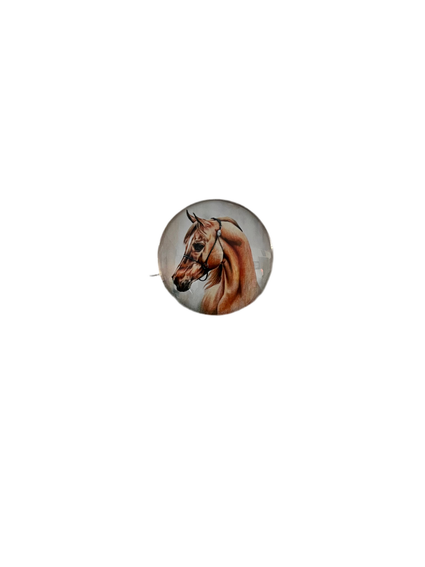 Small Horse Magnets - The Diamond Spur Boutique