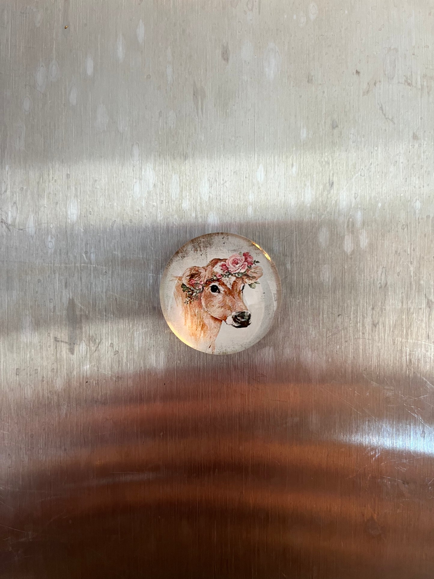 Small Cow Magnets - The Diamond Spur Boutique