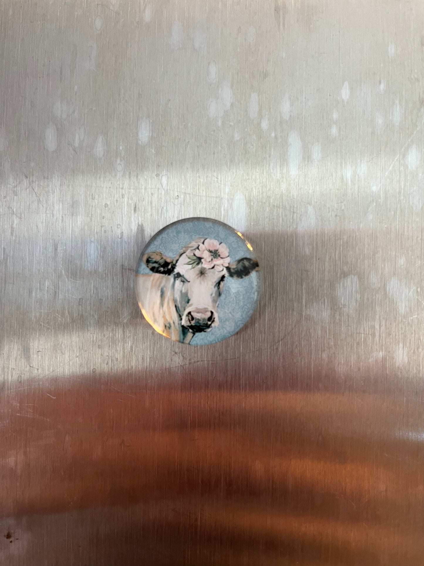 Small Cow Magnets - The Diamond Spur Boutique