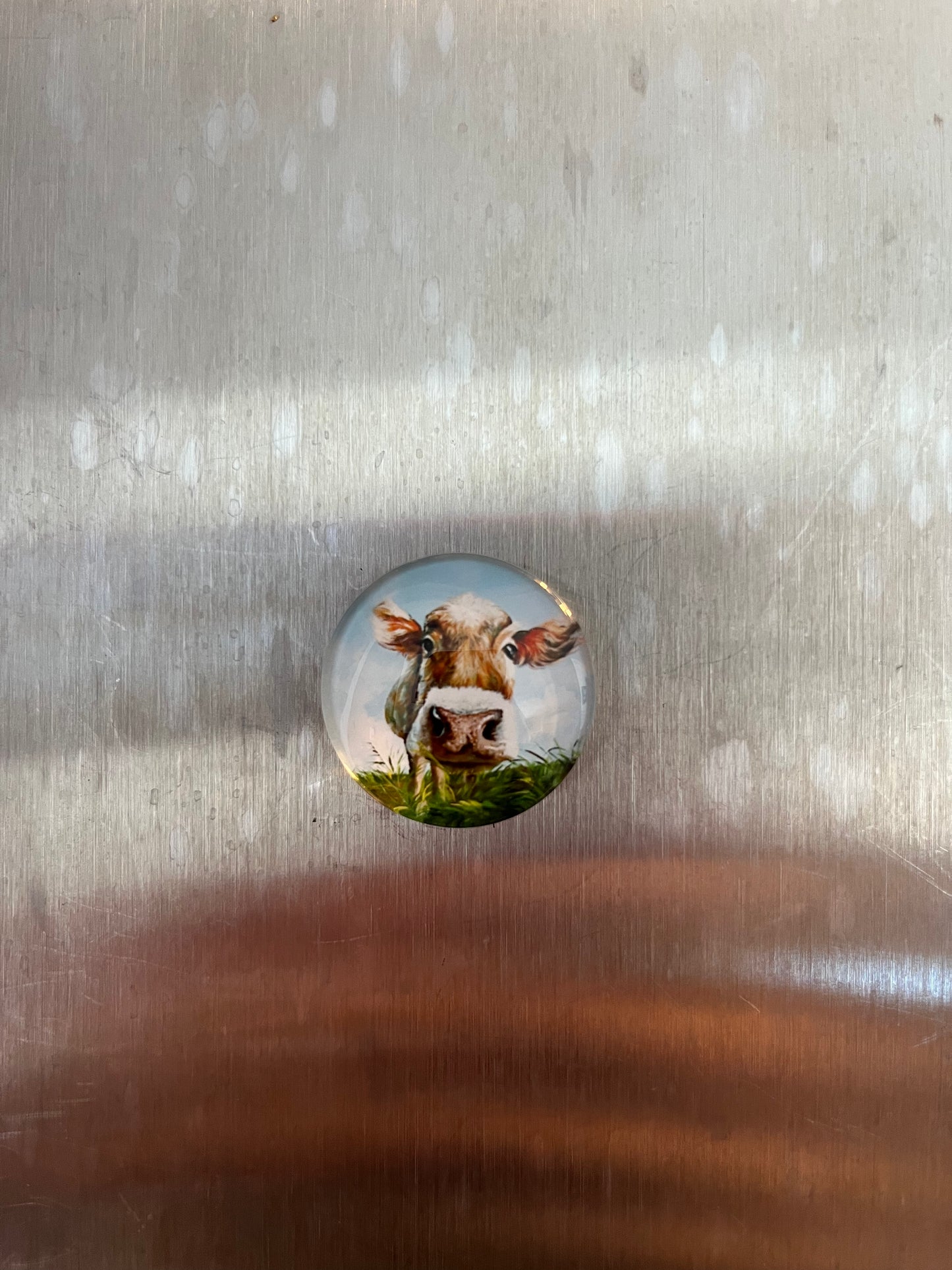 Small Cow Magnets - The Diamond Spur Boutique