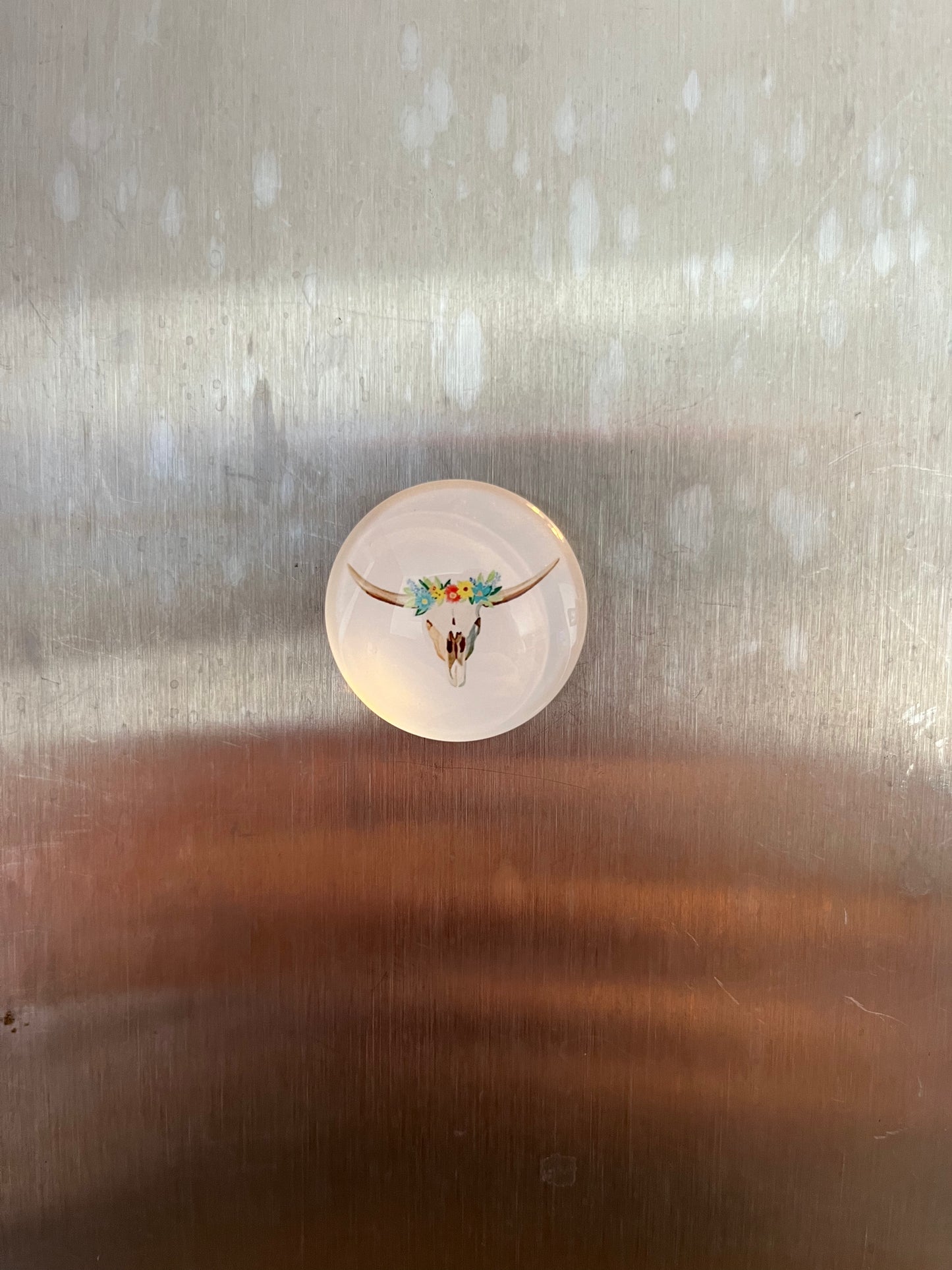 Small Cow Magnets - The Diamond Spur Boutique