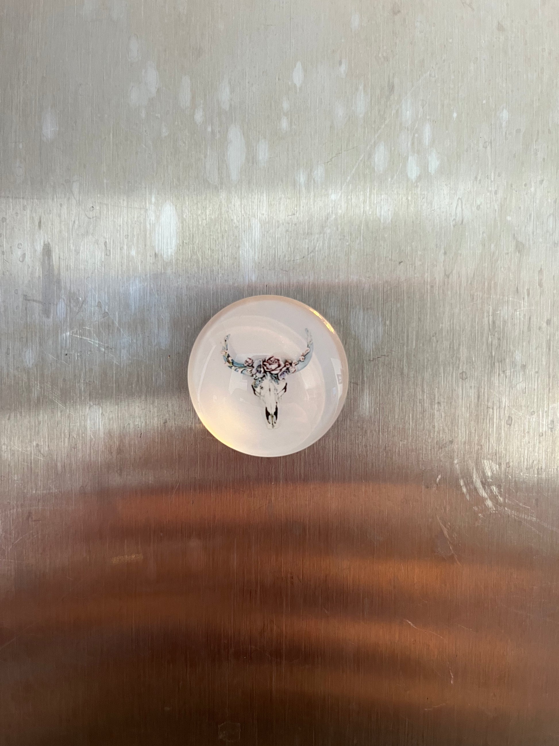 Small Cow Magnets - The Diamond Spur Boutique