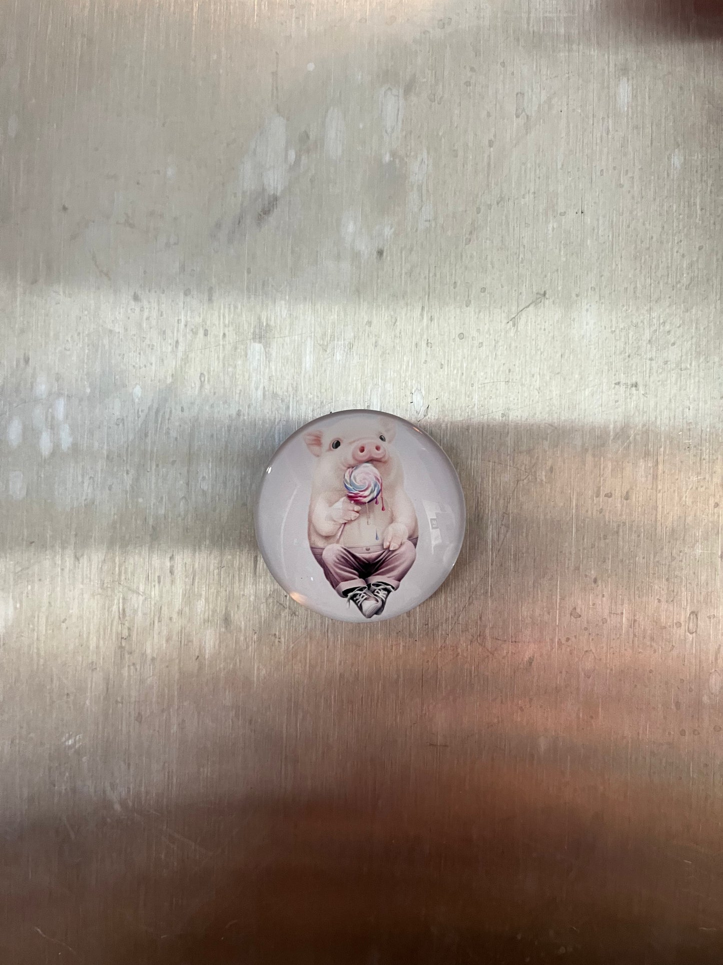 Pig Magnets - The Diamond Spur Boutique