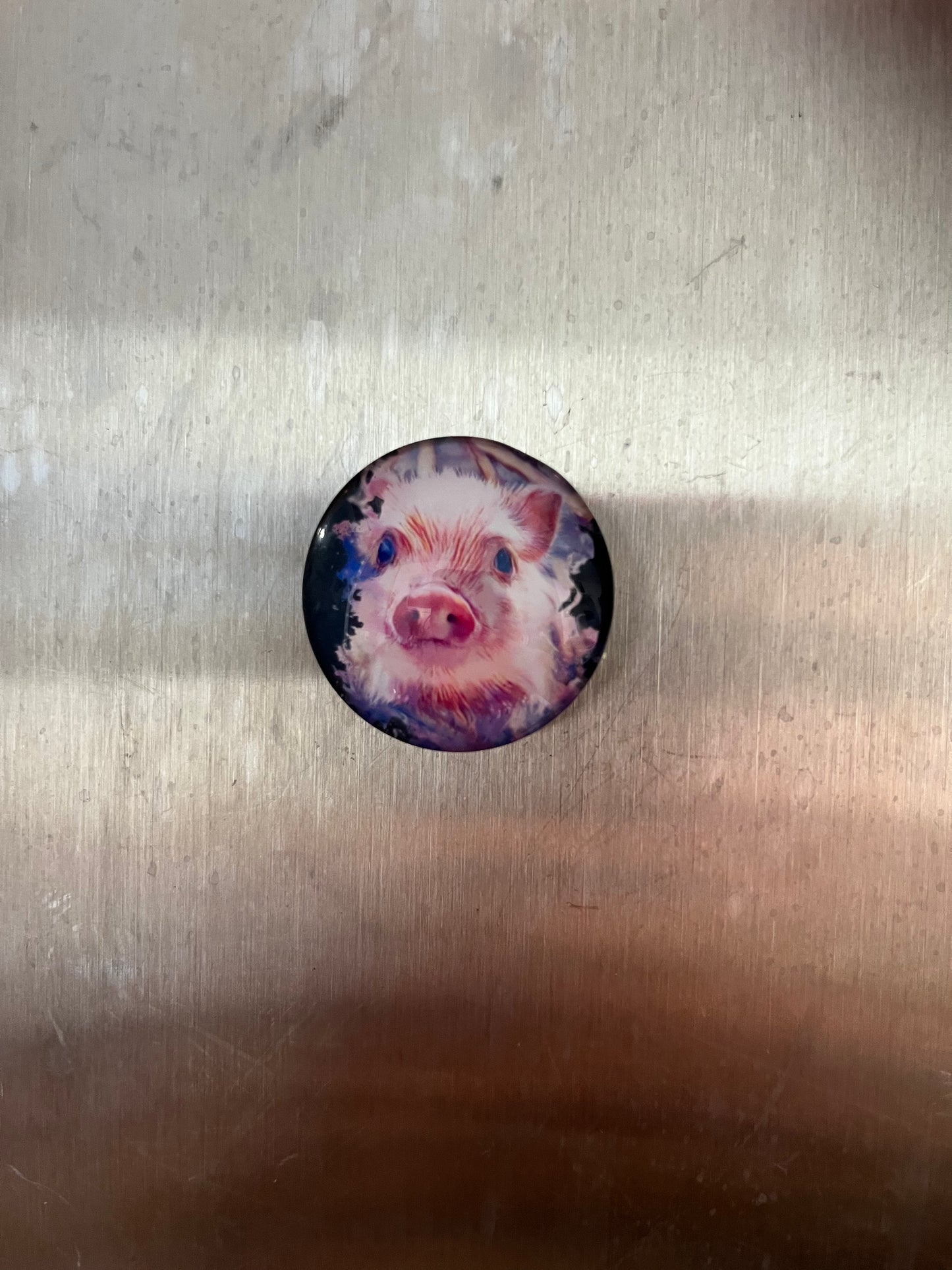Pig Magnets - The Diamond Spur Boutique