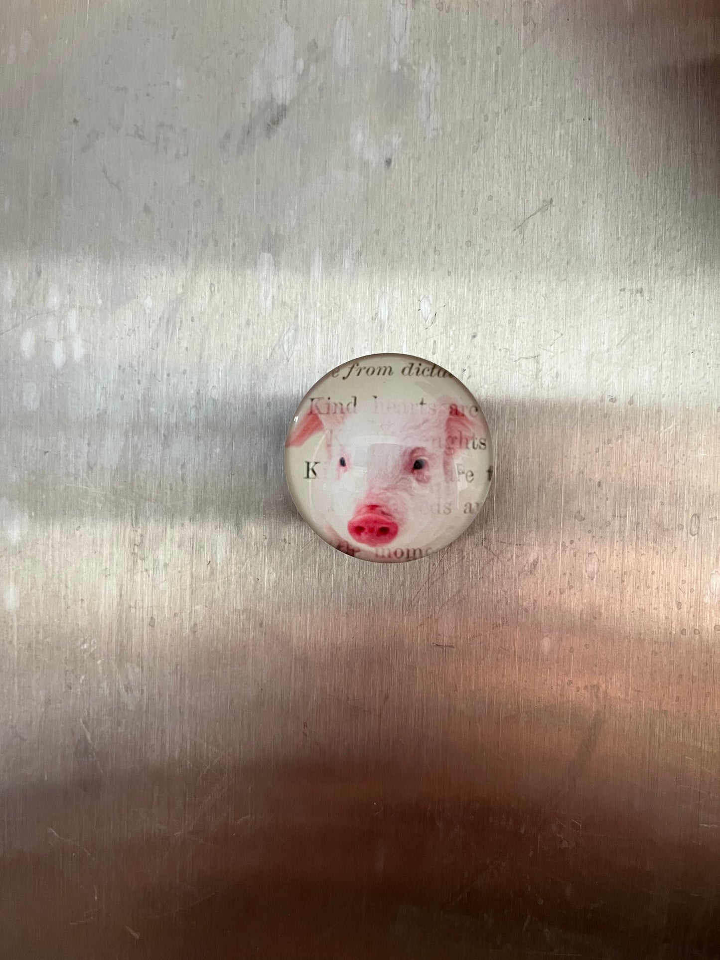Pig Magnets - The Diamond Spur Boutique