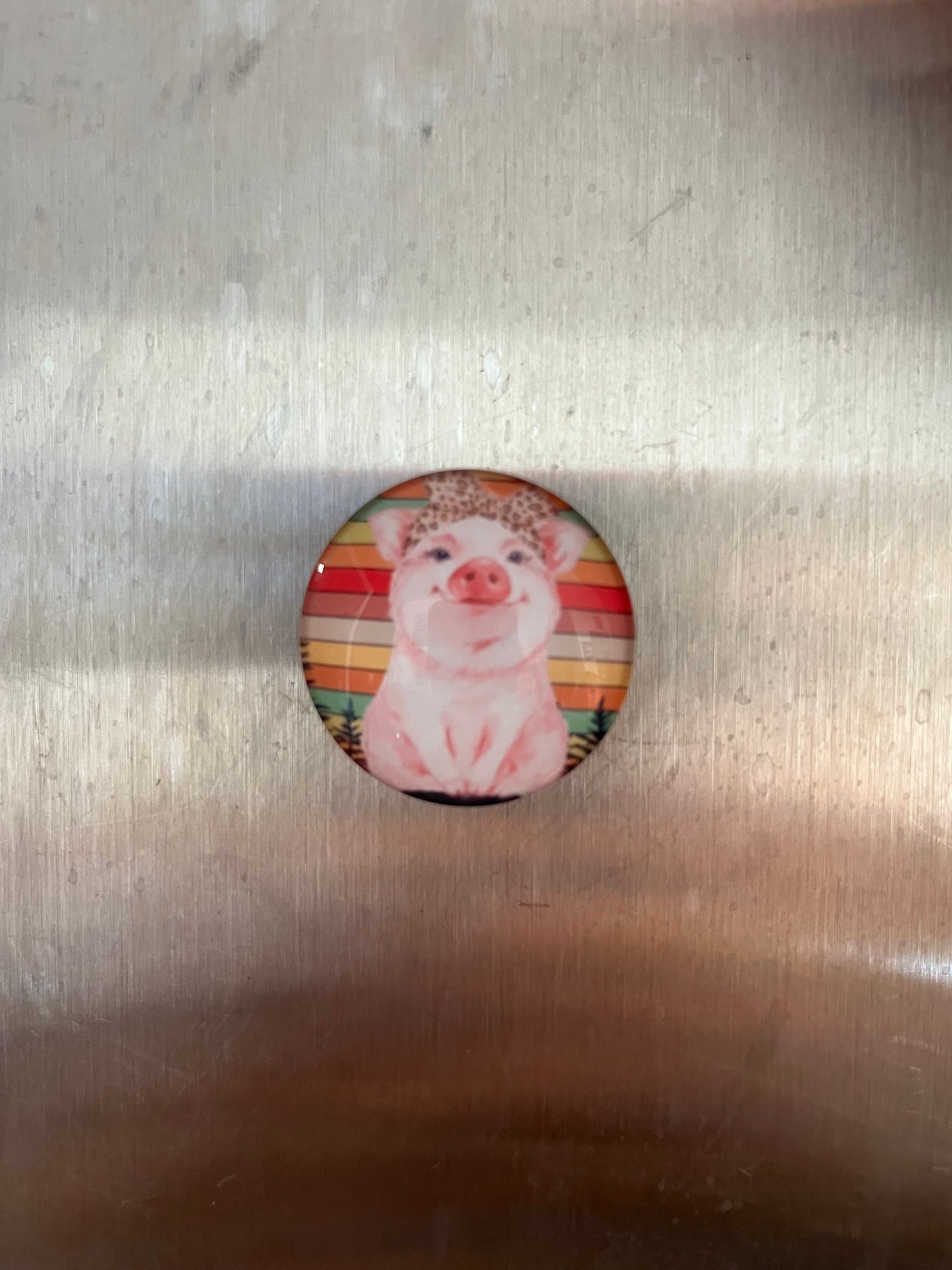 Pig Magnets - The Diamond Spur Boutique
