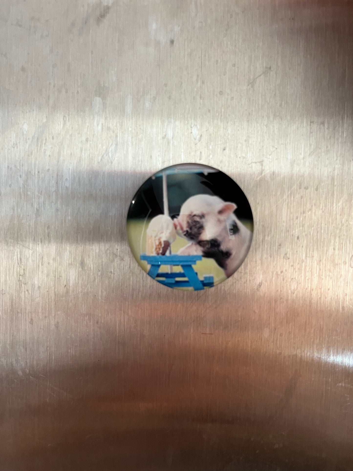 Pig Magnets - The Diamond Spur Boutique