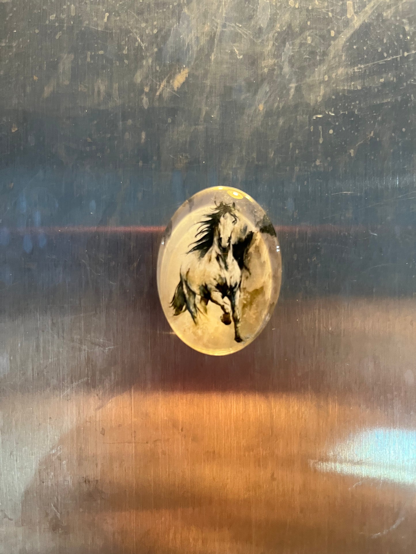 Horse Magnets - The Diamond Spur Boutique