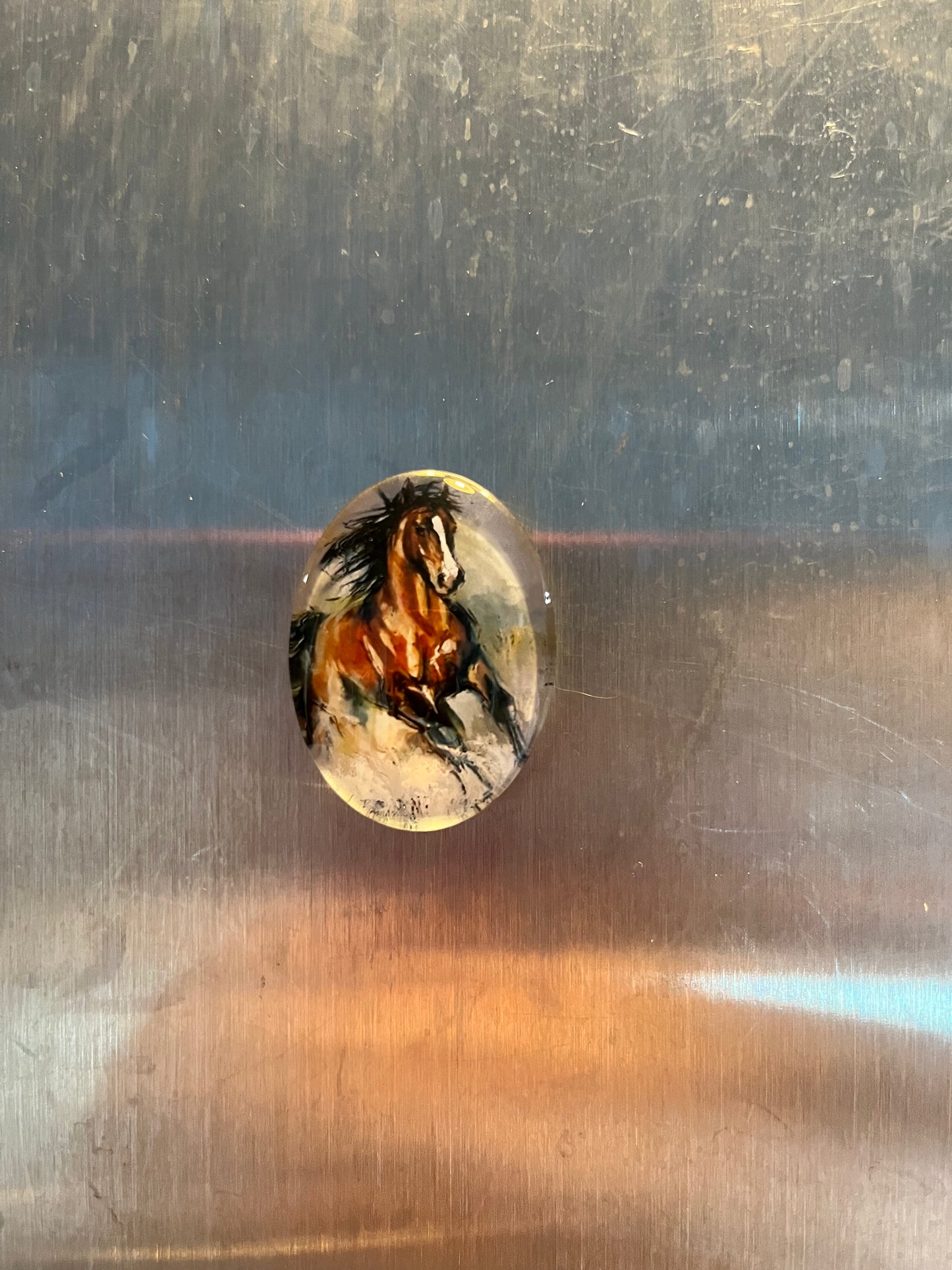 Horse Magnets - The Diamond Spur Boutique