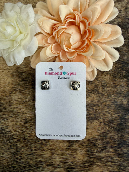 Small Western Stud Earrings