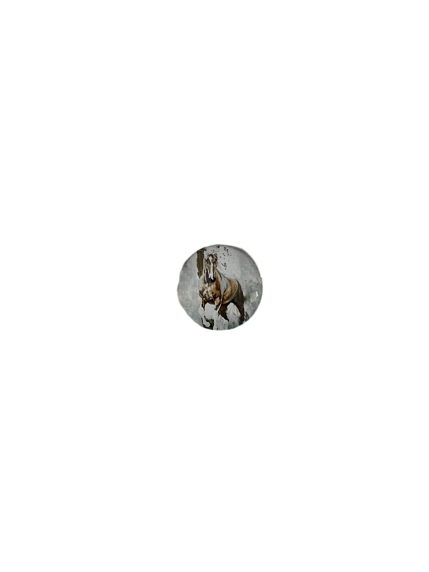 Small Horse Magnets - The Diamond Spur Boutique