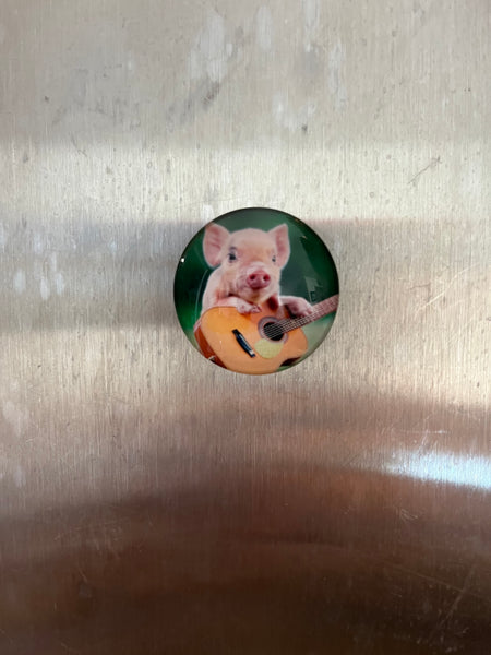 Pig Magnets