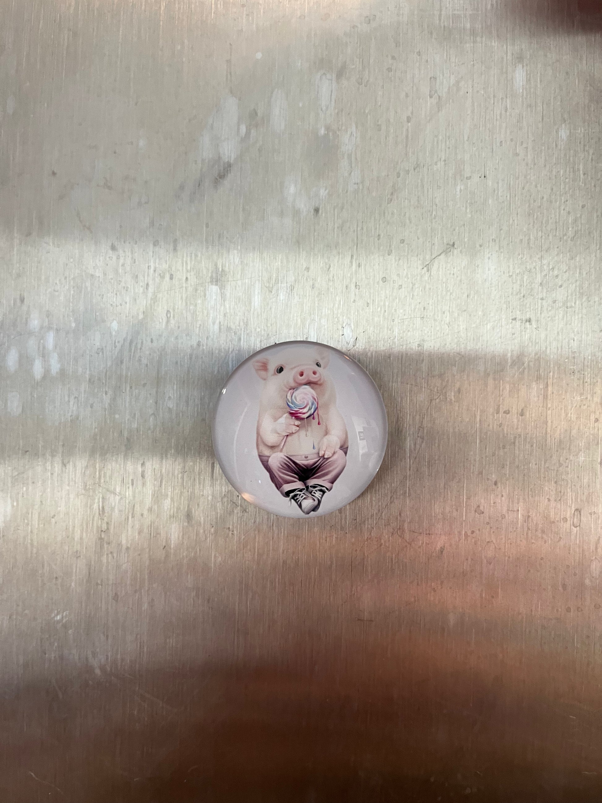 Pig Magnets - The Diamond Spur Boutique