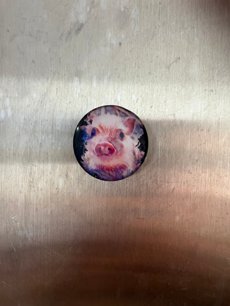 Pig Magnets