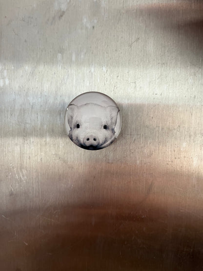 Pig Magnets - The Diamond Spur Boutique