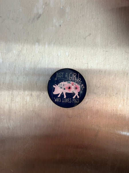 Pig Magnets